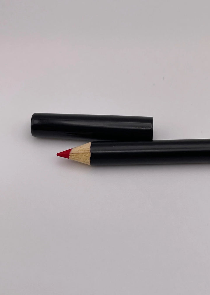 Wicked Cosmetics Lip Stick & Pencil Set