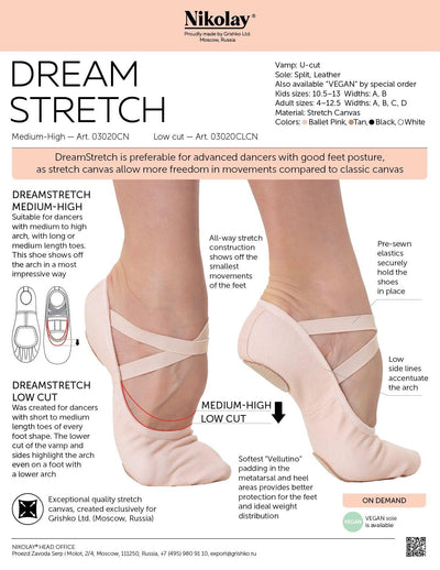 Dream Stretch Ballet Shoe