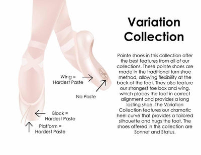 Suffolk Sonnet Pointe Shoe