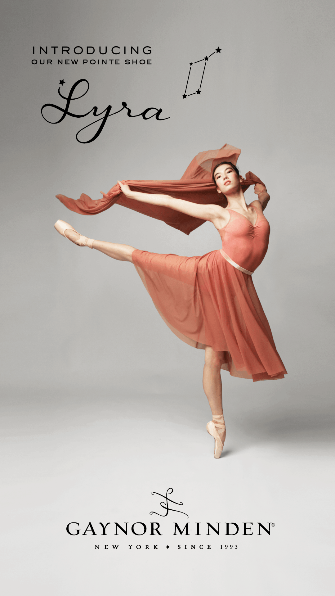 Gaynor Minden Lyra Sculpted Pointe Shoes - Dance Gear Etc. Gaynor Minden Lyra Sculpted Pointe Shoes - Dance Gear Etc.